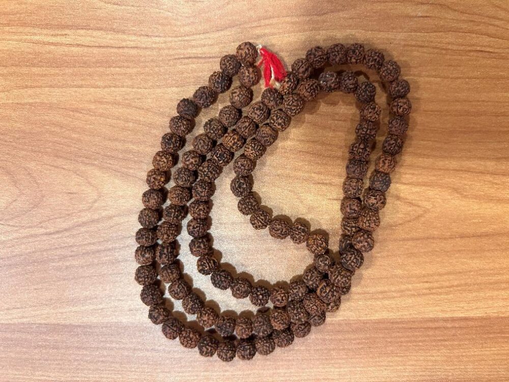 Charged Rudraksha Mala