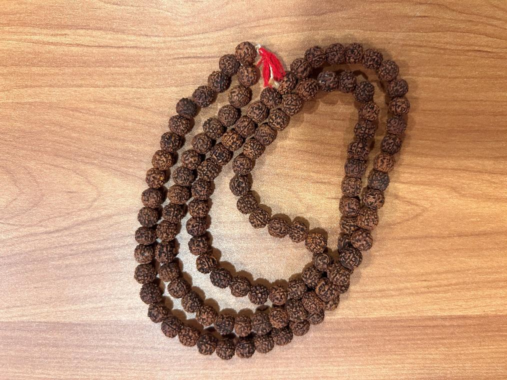 Charged Rudraksha Mala