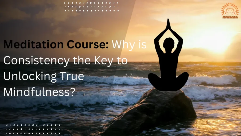 Meditation Course Why is consistency the key to unlocking true mindfulness