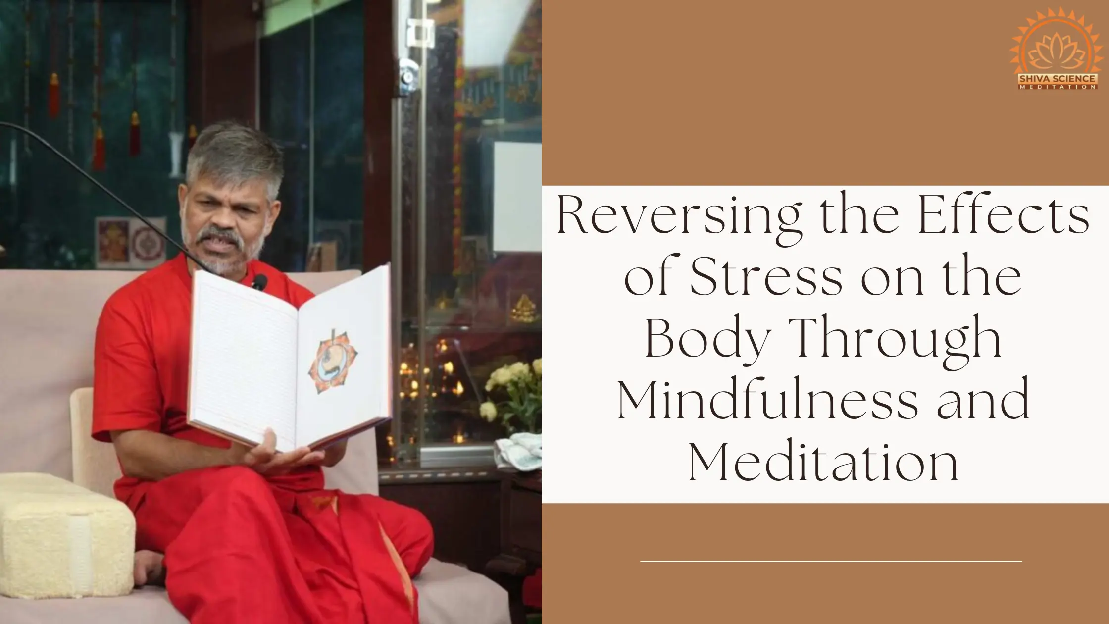 Reversing the Effects of Stress on the Body Through Mindfulness and Meditation