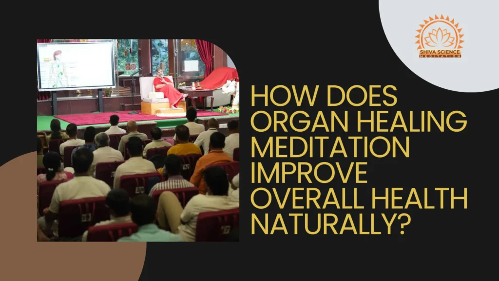 How does organ healing meditation improve overall health naturally